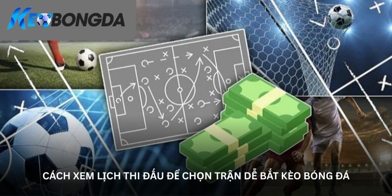 Cách xem lịch thi đấu để chọn trận dễ bắt kèo bóng đá